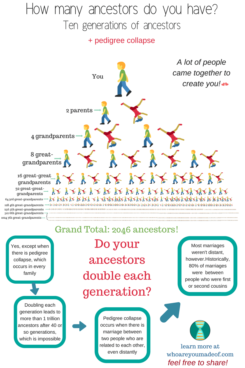 How many ancestors do you have_