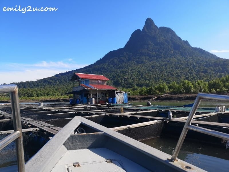 arriving at a fish breeding farm