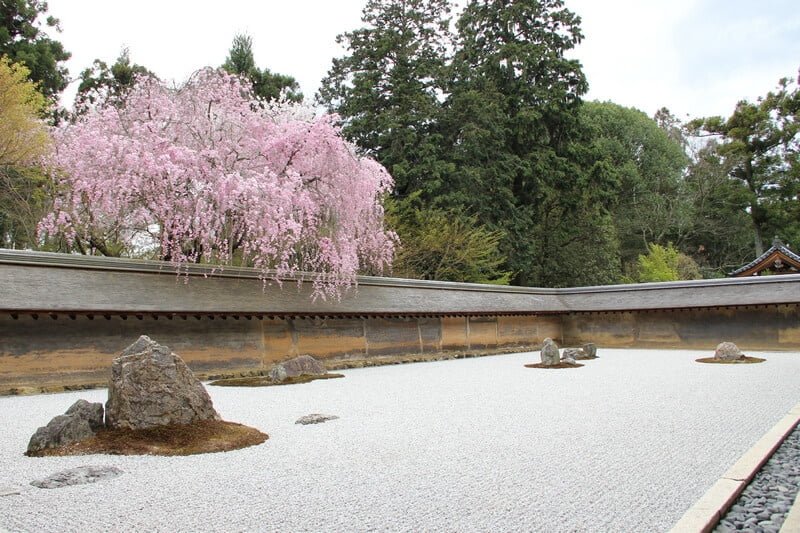 Kyoto Tour Ryoanji Temple