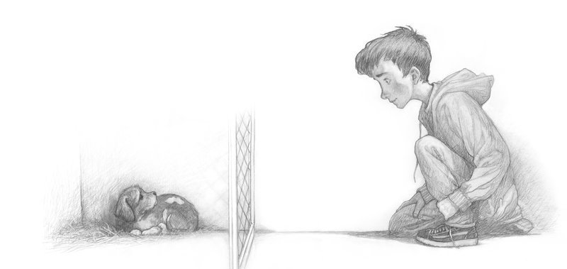 Pencil illustration from The Dog Who Lost His Bark by Eoin Colfer with illustrations by PJ Lynch