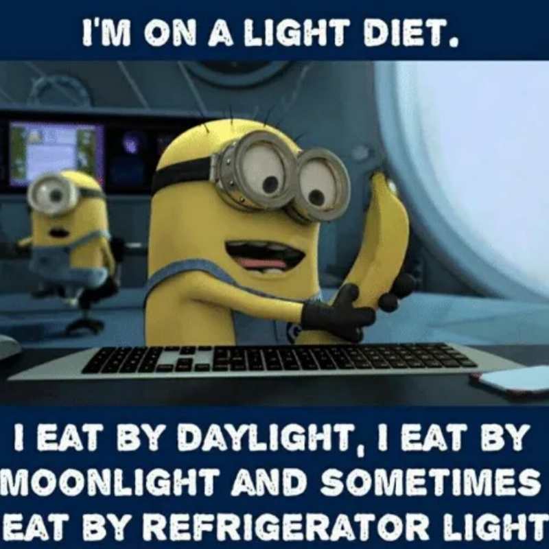Diet Memes - Funny Images That Anyone Dieting Can Relate To 5 im on a light diet meme