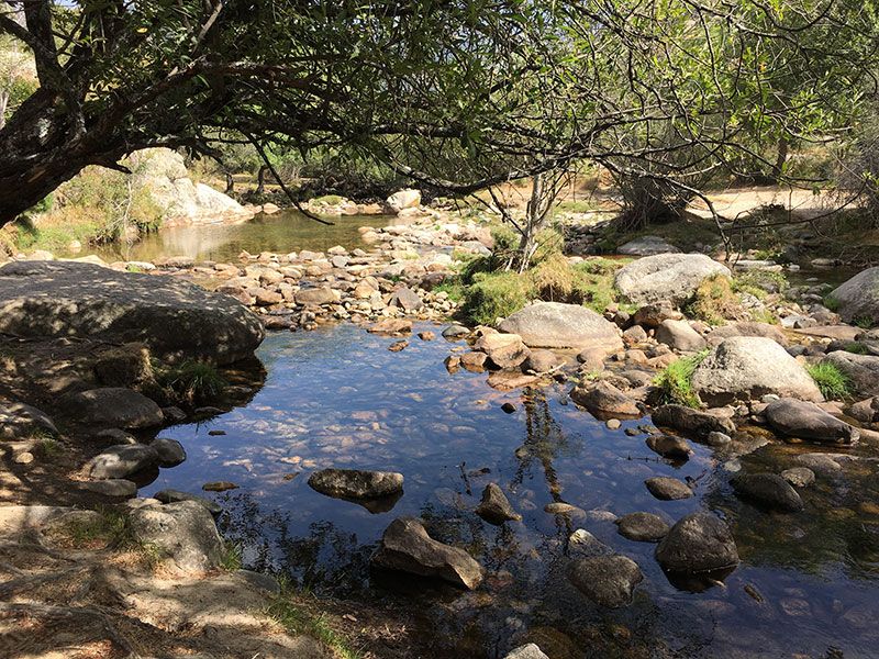 Cómo llegar a la Charca Verde - La Pedriza - Paisajes