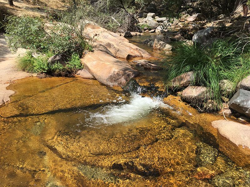 Cómo llegar a la Charca Verde - La Pedriza - Lagunita