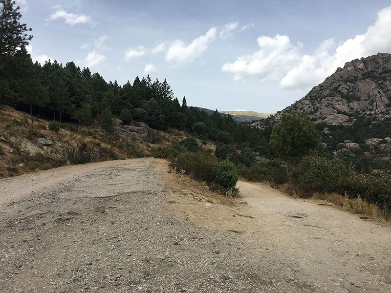 Cómo llegar a la Charca Verde - La Pedriza - Desvío