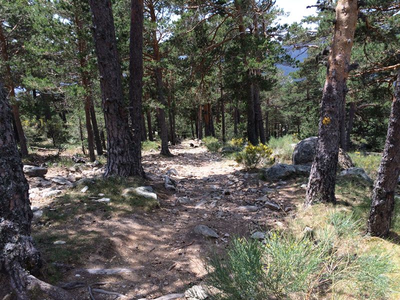 Tramo pedregoso de bajada en la Ruta de los Miradores de los Poetas
