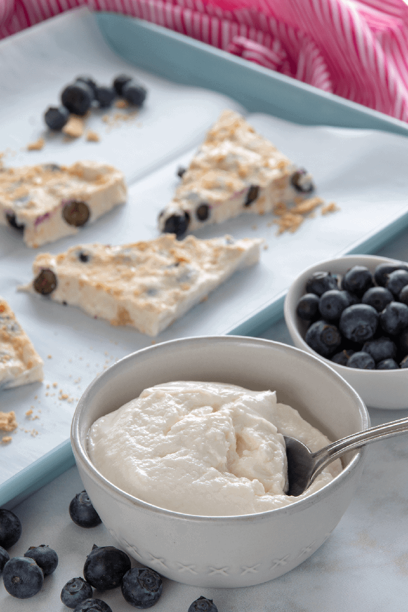 Weight Watchers Blueberry Frozen Yogurt Bark Recipe