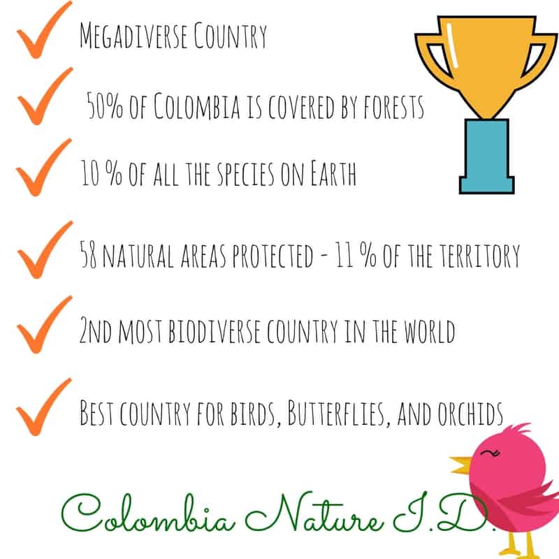 24 Interesting Facts About Colombia To Make You Smarter Colombia Insider