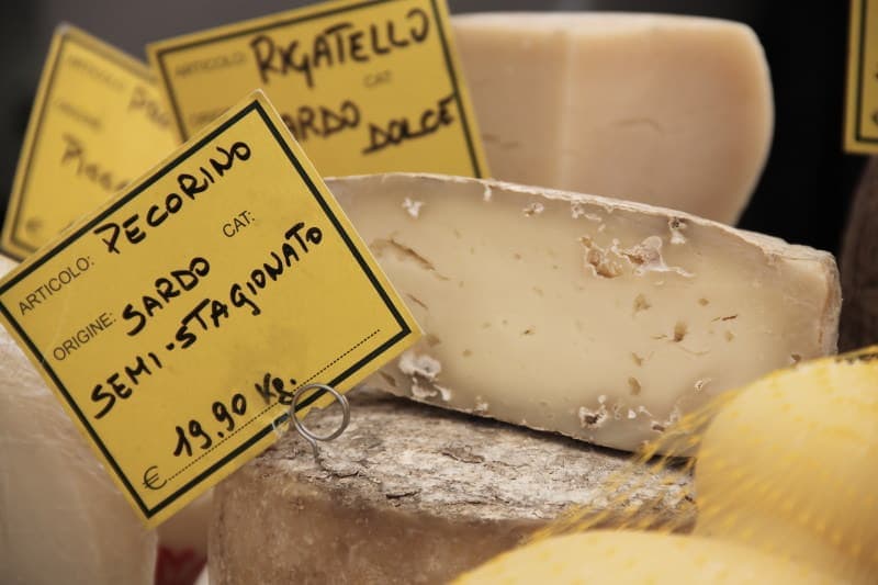 queijo pecorino-1