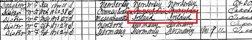 Irish ancestor on census records