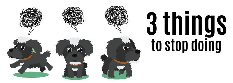 Don’t make these 3 dog owner mistakes