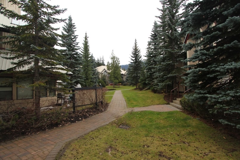 Snowberry-walkway