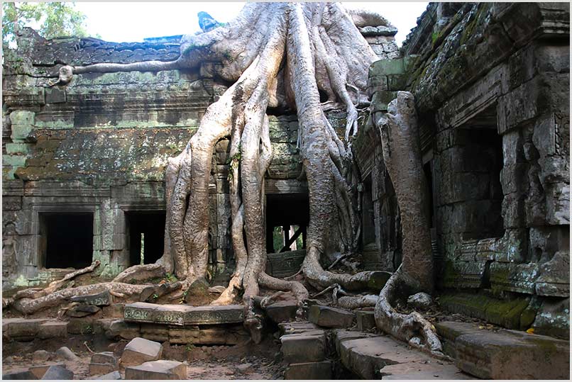 Ta Prohm | Angkor Thom Ta Prohm | Angkor Thom