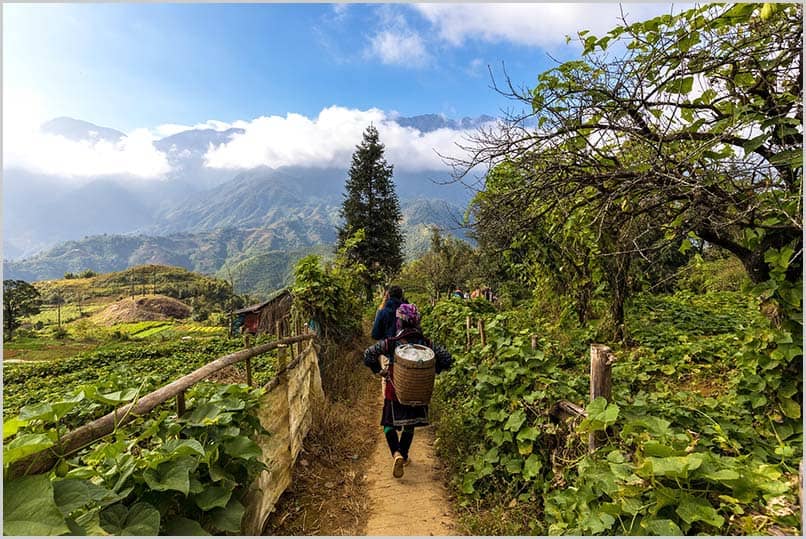 Trekking Sapa Vietnam Trekking Sapa Vietnam