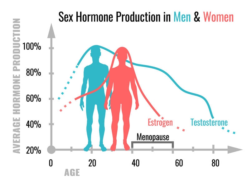 What Is Testosterone And Why Do Both Men And Women Need It? Gilmore
