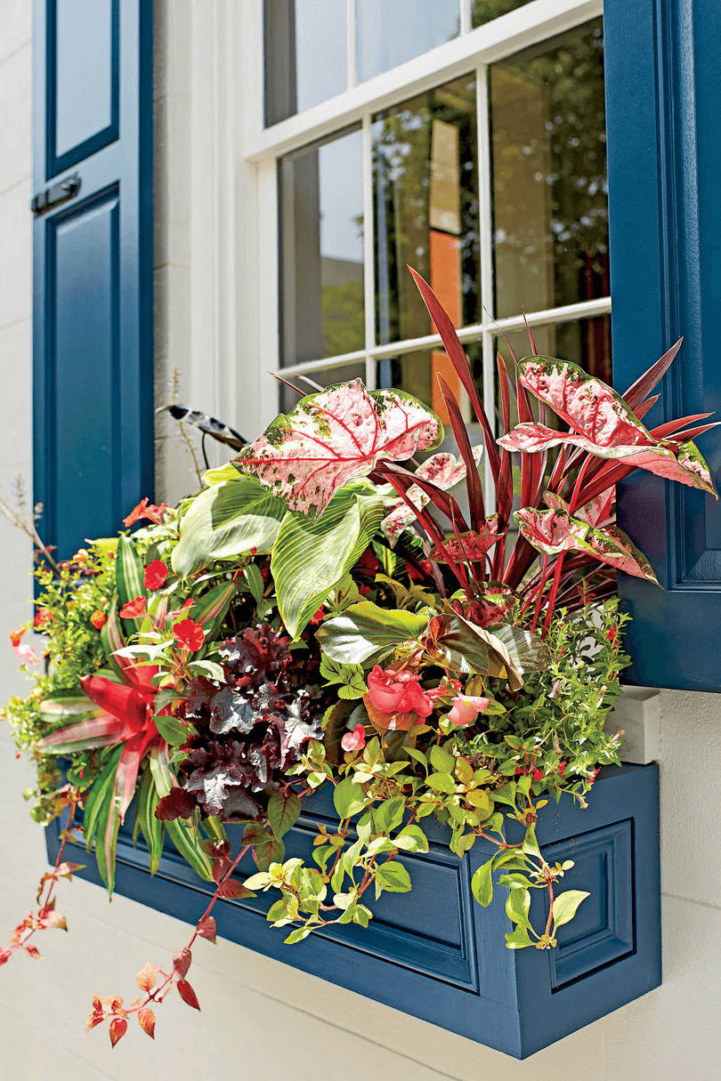 HOW TO CREATE A FENCE BOX FOR PORCH DECOR WITH FLOWER PLANTS