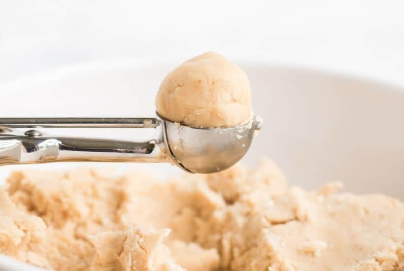 Eggnog Cookies are a fun twist to the classic snickerdoodle cookie. This easy holiday cookie recipe is soft, chewy and rolled in cinnamon sugar.