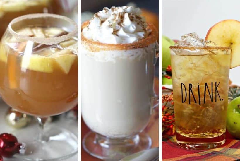 Plan your perfect Thanksgiving Day menu. From appetizers to dessert and the main dish in between your Thanksgiving dinner will be a success with one or more of these delicious 101 Best Thanksgiving Recipes. #Thanksgivingrecipe #maindish #thanksgivingsidedish #desserts