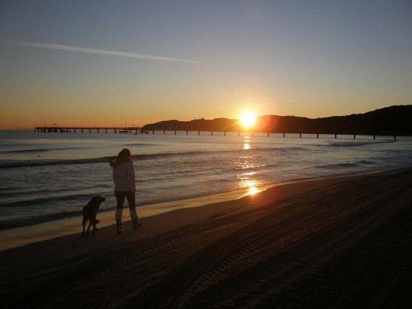 Sonnenaufgang mit Hund am Strand von Binz
