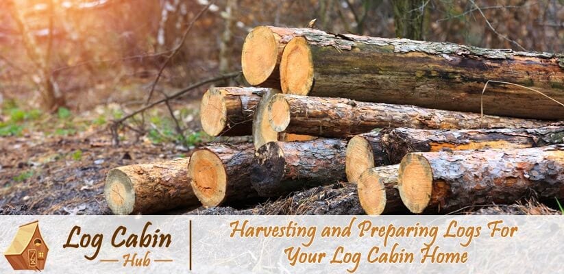 Harvesting Lumber and Preparing Logs For Your Log Cabin Home