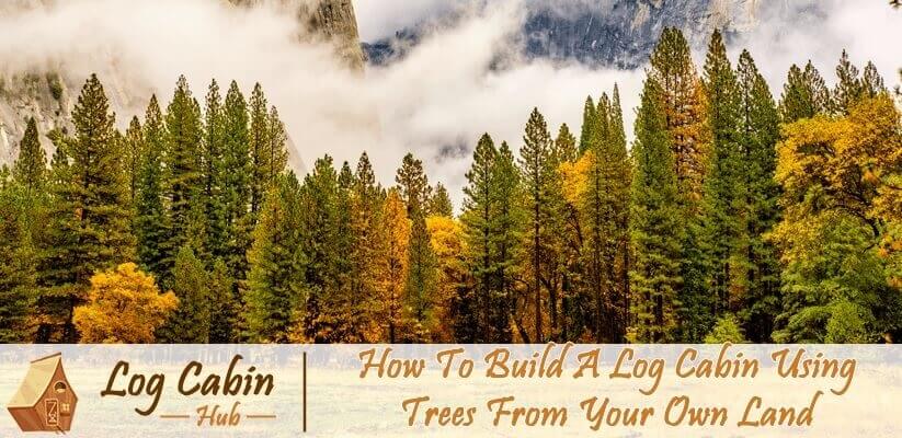 How To Build A Log Cabin Using Trees From Your Own Land
