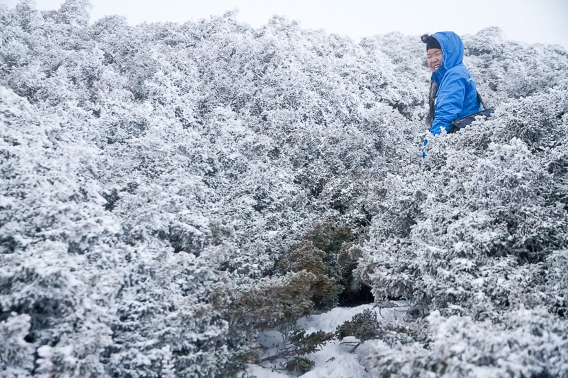 A Guide to Winter in Taiwan (& where to see snow in Taiwan!) Spiritual Travels