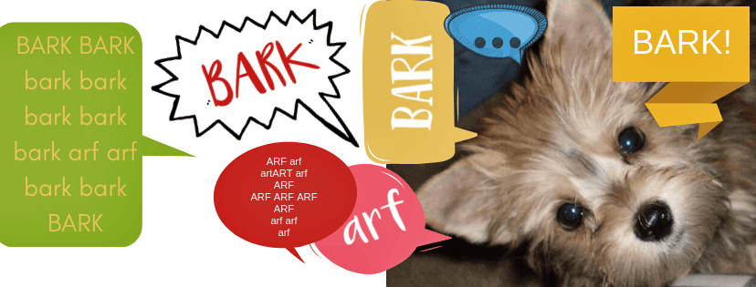 Morkie lovers: how to stop a dog from barking