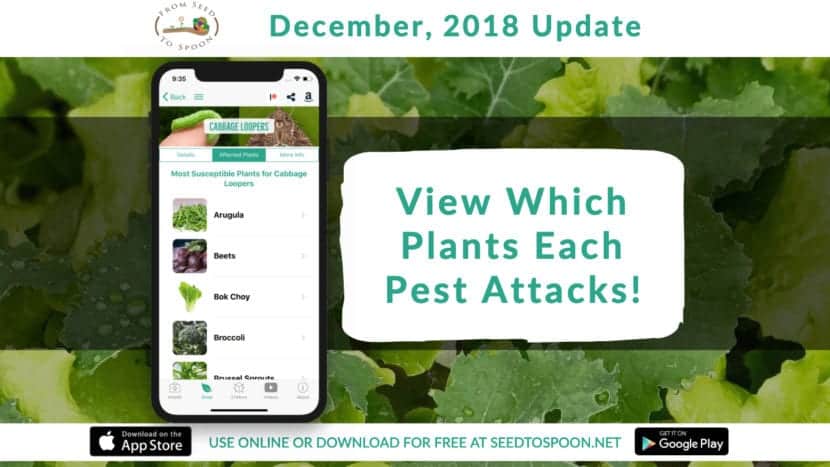December 2018 Update New Feature View Plants Attacked By Each