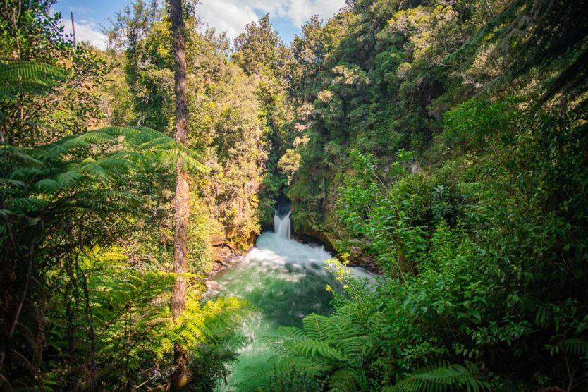 tutea falls rotorua rafting
