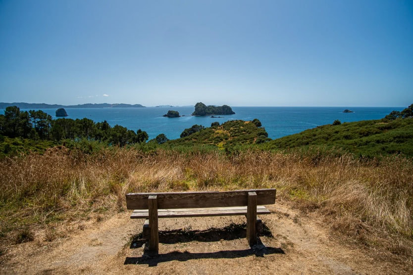 cathedral cove walk in the coromandel nz