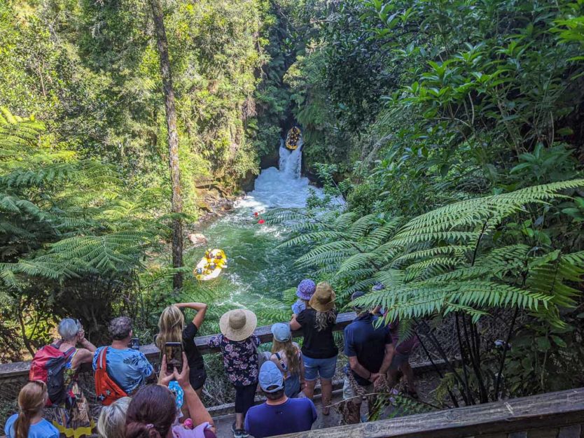 okere falls trail near rotorua rafting viewing platform of raft going over Tutea Falls
