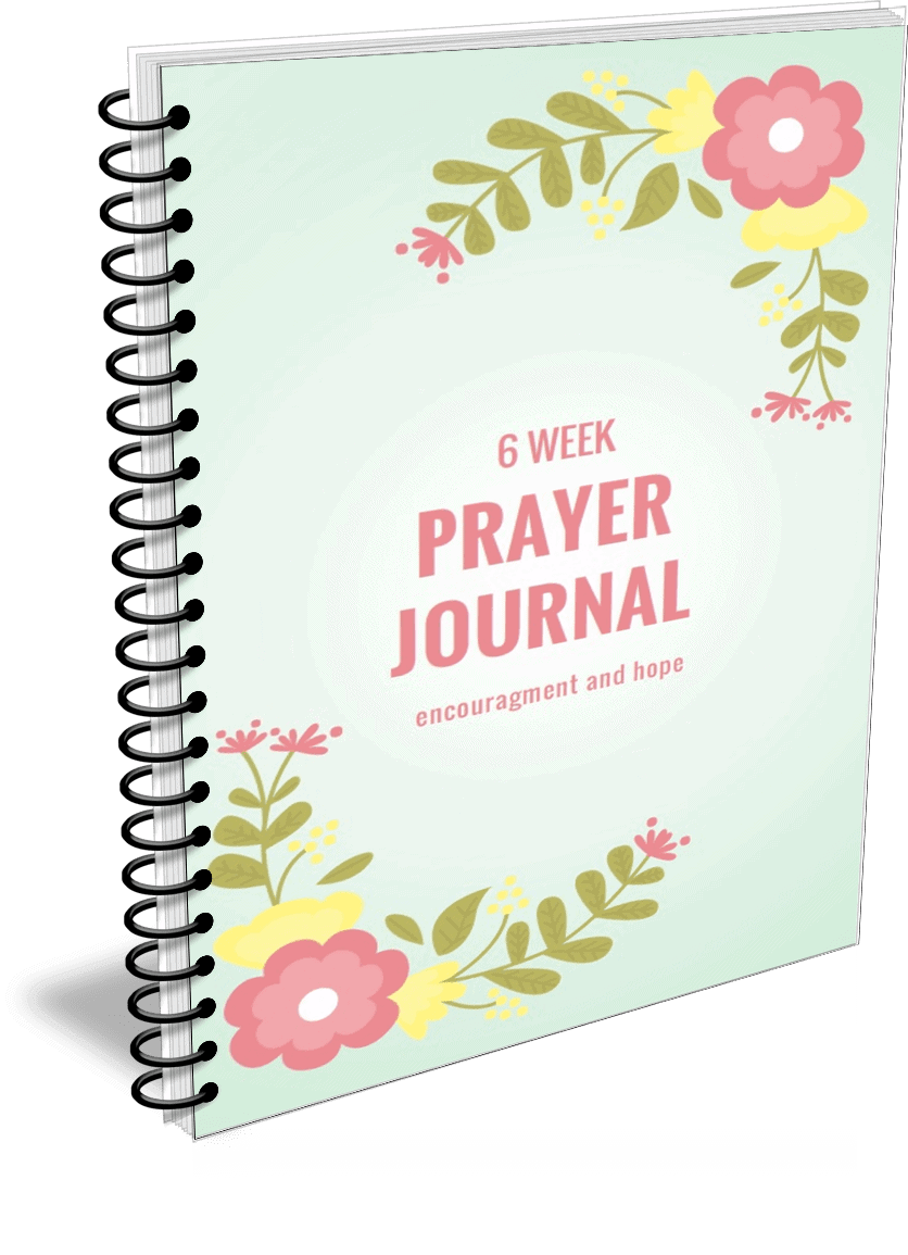 6 Week Prayer Journal Grace For Single Parents