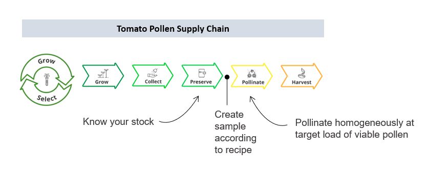 A visualization of a necessary enhancement of the tomato pollen supply chain