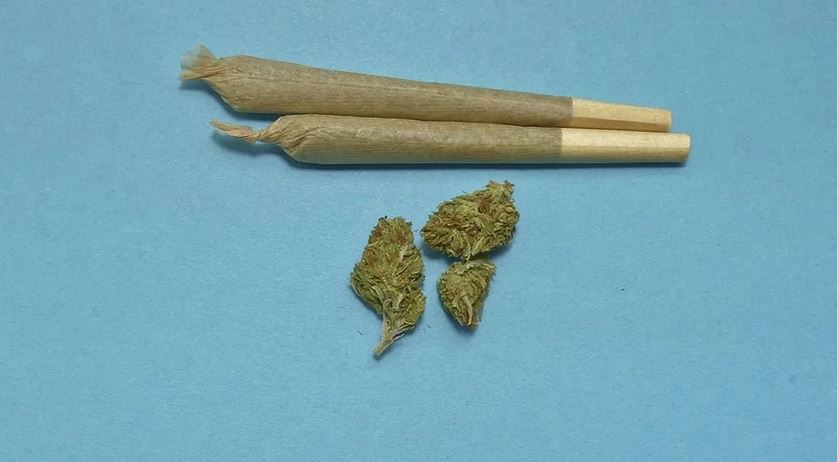 Marijuana
