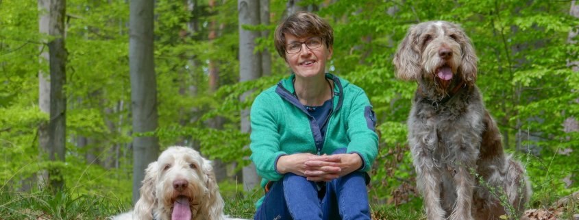 Was Ist Ein Therapiehund Memole