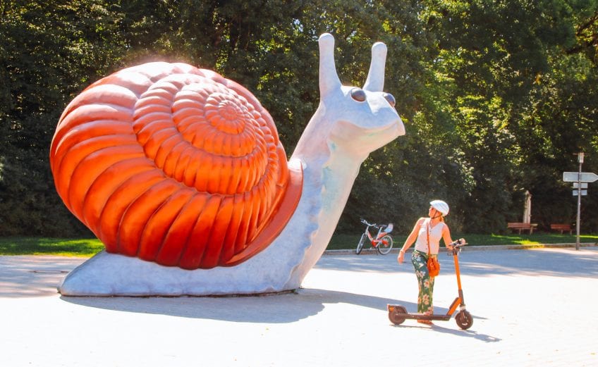 Sweet Brown Snail