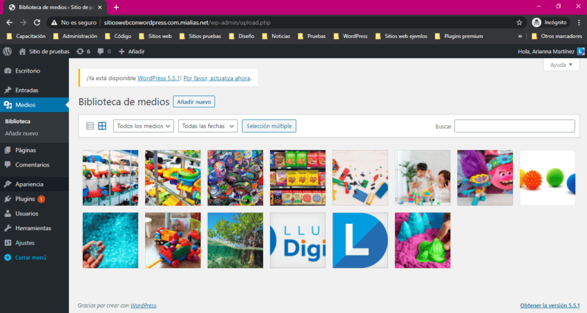 Esta es la biblioteca de medios donde puedes encontrar los archivos que se han subido a tu web. Sección biblioteca de medios en panel de administración de WordPress