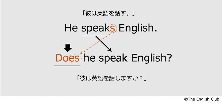 一般動詞三人称単数現在の疑問文