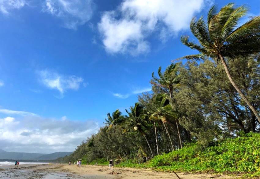 Four Mile Beach Port Douglas on a sunny but windy day in December. When is the best time to visit Port Douglas