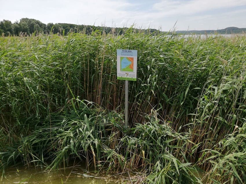 Angelzone Schmachter See
