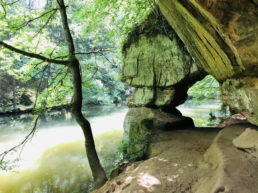 Die Schwarzachklamm bei Schwarzenbruck ist eine von vielen schöne Herbstwanderungen.