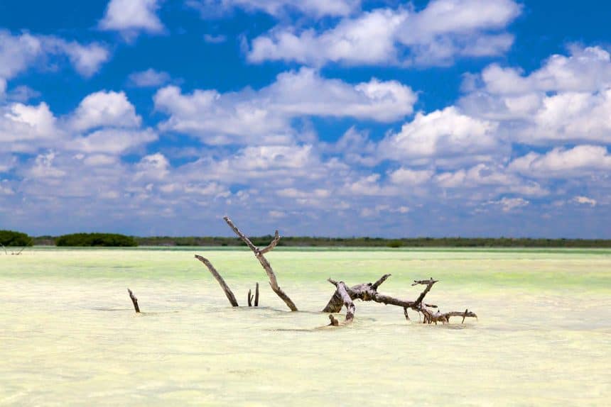 Cancún, Mexiko - 40 Aktivitäten für Deinen Urlaub 26 Ausflug ab Cancun, Mexiko - Isla Holbox