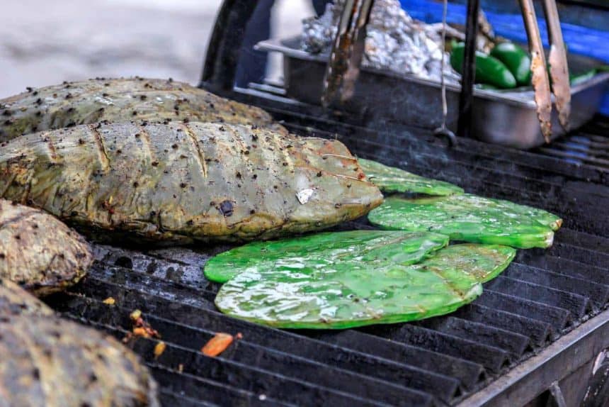 Mexiko - Die regionale Küche 4 Mexikanische Küche: Nopales auf dem Grill