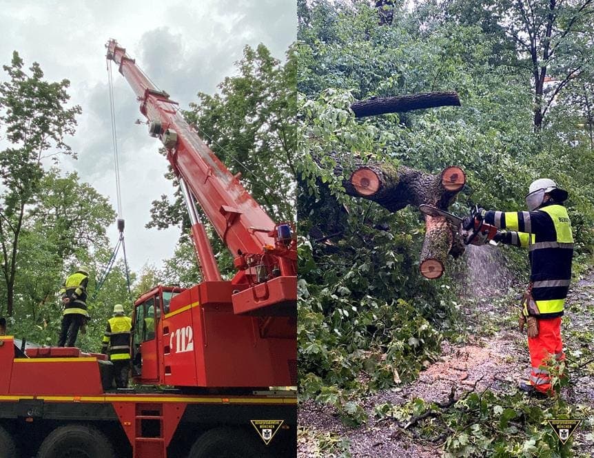 Feuerwehr Einsatz Sturm München Mittersendling umgestürzter Baum