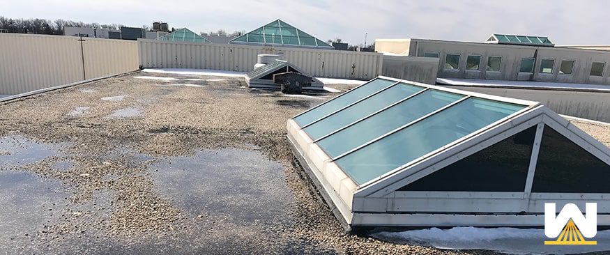 wet substrate on a roof