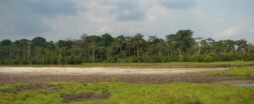 Field Site Visit to Odzala National Park, Republic of Congo