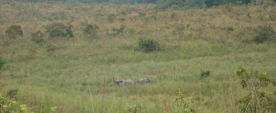 Field Site Visit to Lopé National Park, Gabon