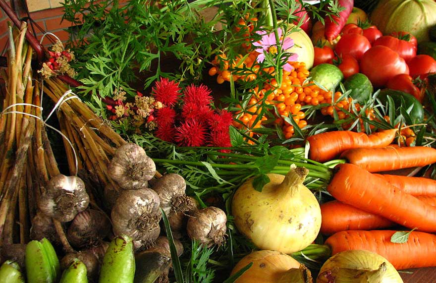 agriculture biologique