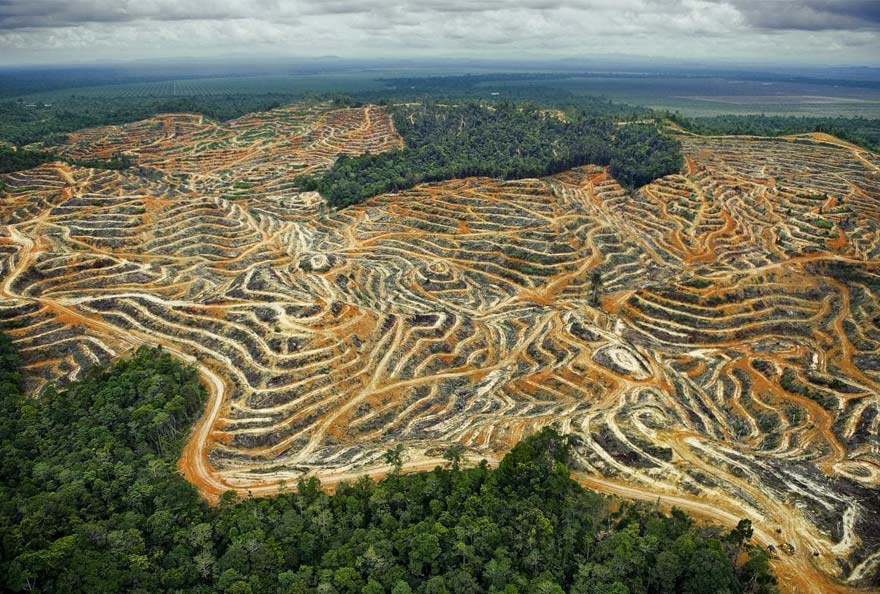 biodiversité