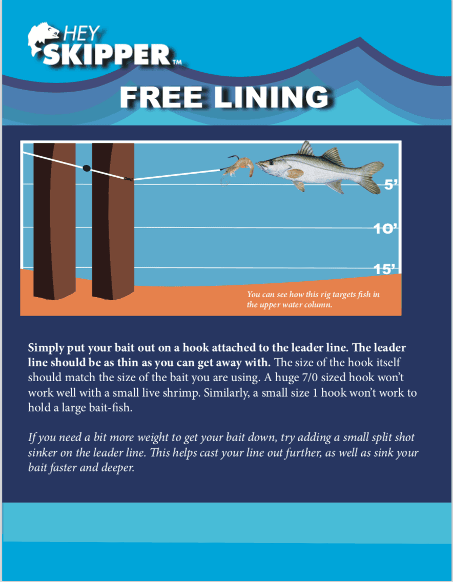 Pier Fishing Rigs and Tactics 4 Proven Methods to Catch MORE Fish 