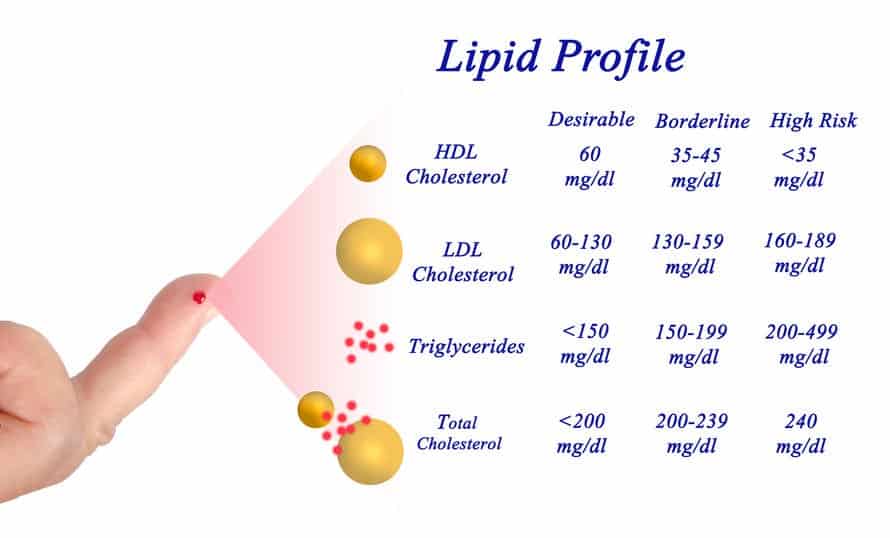 Ldl Cholesterol Range Chart